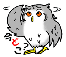 The owl which is some evil-mindedness sticker #2599501
