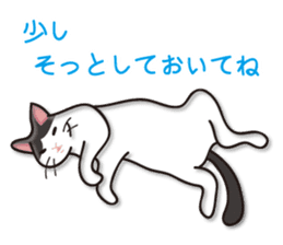 Cat zoo sticker #2600626