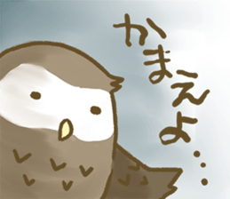 Owl family daily sticker #2601564