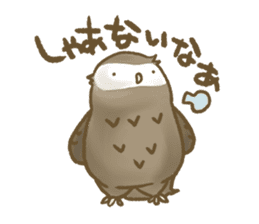 Owl family daily sticker #2601566