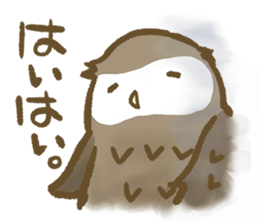 Owl family daily sticker #2601588