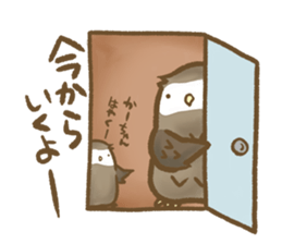 Owl family daily sticker #2601592