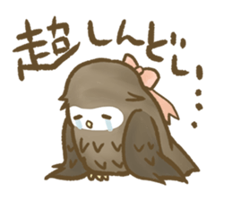 Owl family daily sticker #2601595