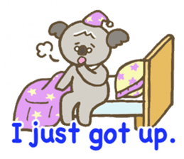 Care Koala "Mocha" & "Silva" sticker #2602461