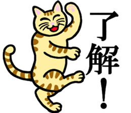 I am a cat.Thank you. sticker #2610817