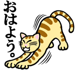 I am a cat.Thank you. sticker #2610828