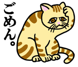 I am a cat.Thank you. sticker #2610838