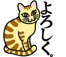 I am a cat.Thank you. sticker #2610843