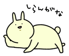 Day-to-day of rabbit and cat sticker #2611453