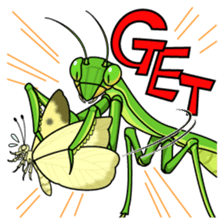 Bug's spirit sticker #2612771