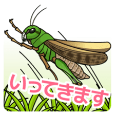Bug's spirit sticker #2612788
