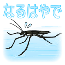 Bug's spirit sticker #2612806