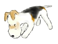 Fox Terrier sticker #2614339