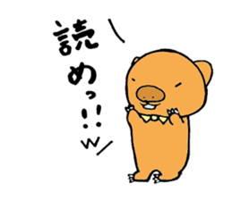 Loose sticker more wombat's sticker #2615429
