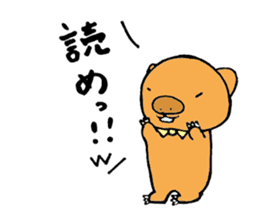 Loose sticker more wombat's sticker #2615429