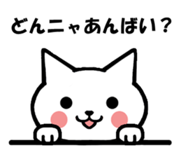 Gifu dialect and cat sticker #2618959