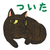 Your cats sticker #2619435