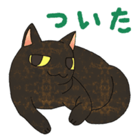 Your cats sticker #2619435