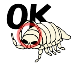 Giant isopod goes sticker #2621229