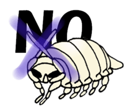 Giant isopod goes sticker #2621230