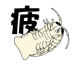 Giant isopod goes sticker #2621239