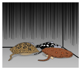 Rays Gang sticker #2626326