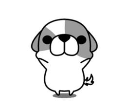 Shih Tzu's sticker #2629171