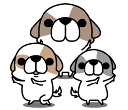 Shih Tzu's sticker #2629172