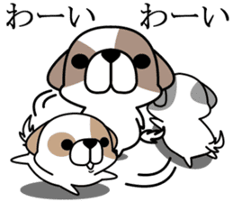 Shih Tzu's sticker #2629185