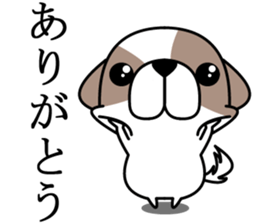 Shih Tzu's sticker #2629186