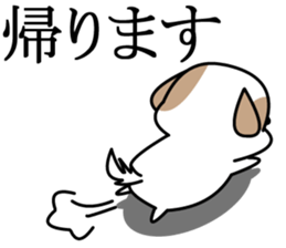 Shih Tzu's sticker #2629192