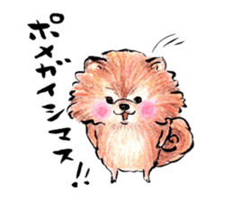 Pome-Manian sticker #2629929