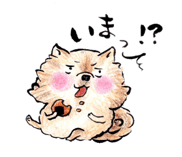 Pome-Manian sticker #2629934