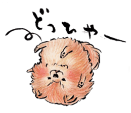 Pome-Manian sticker #2629940