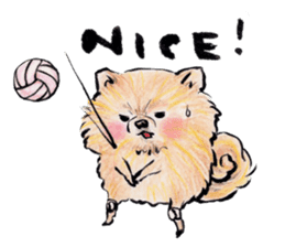 Pome-Manian sticker #2629946