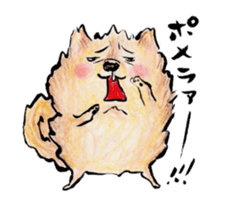 Pome-Manian sticker #2629955