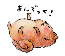 Pome-Manian sticker #2629957