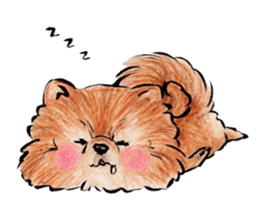 Pome-Manian sticker #2629962