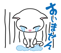 Sara & Sera of a Cat sticker #2629999