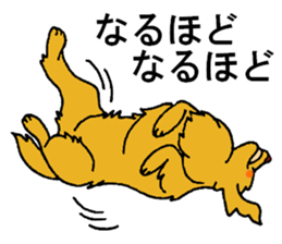 Gorgeous Golden Retriever 'MARIA' sticker #2636691