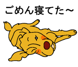 Gorgeous Golden Retriever 'MARIA' sticker #2636694