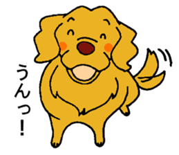 Gorgeous Golden Retriever 'MARIA' sticker #2636699