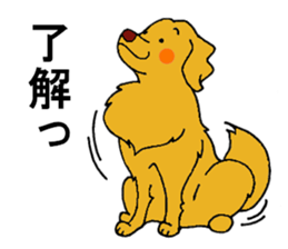 Gorgeous Golden Retriever 'MARIA' sticker #2636700