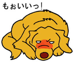 Gorgeous Golden Retriever 'MARIA' sticker #2636704