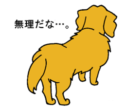 Gorgeous Golden Retriever 'MARIA' sticker #2636711