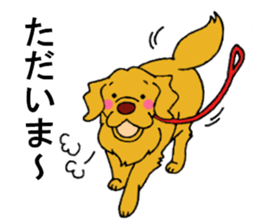 Gorgeous Golden Retriever 'MARIA' sticker #2636718