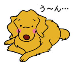 Gorgeous Golden Retriever 'MARIA' sticker #2636721