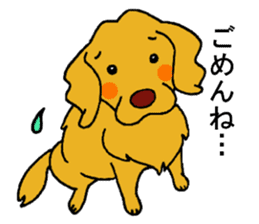 Gorgeous Golden Retriever 'MARIA' sticker #2636723