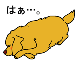 Gorgeous Golden Retriever 'MARIA' sticker #2636724