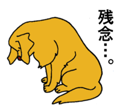 Gorgeous Golden Retriever 'MARIA' sticker #2636729